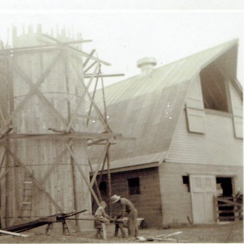 Construction of Carper's Dairy Barn